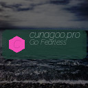 cunagoo.pro